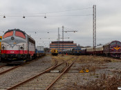 CONTC MY 1134, VIK MY 1146 og DSB MY 1135. Ringsted 29.11.2024.