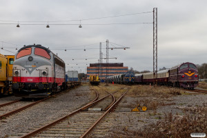 CONTC MY 1134, VIK MY 1146 og DSB MY 1135. Ringsted 29.11.2024.