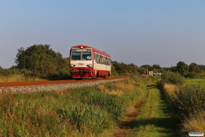 Norddeutsche Eisenbahngesellschaft Niebüll (NEG)